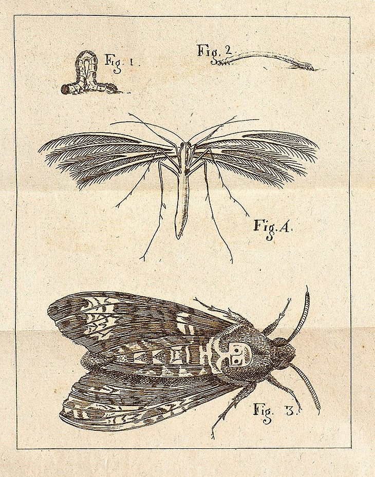 Un mauvais investissement