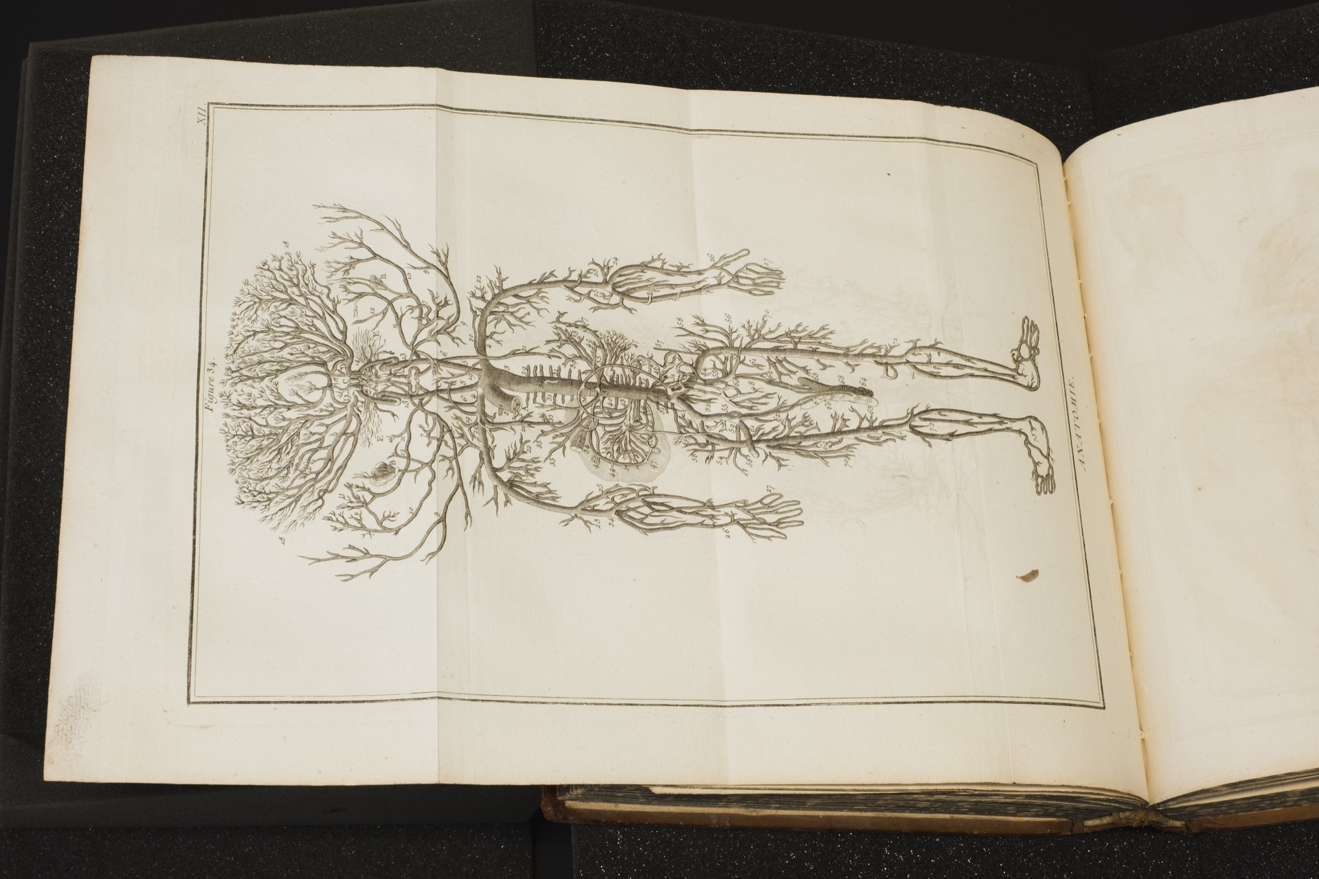 Encyclopédie d'Yverdon