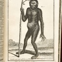 Photo: Rémy Gindroz (galerie restauration)