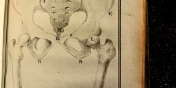 Photo: BYLB (galerie restauration)