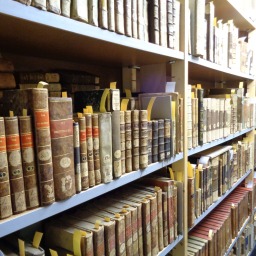 Photo: BYLB (galerie compactus)