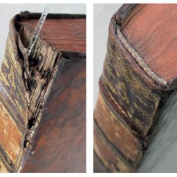 Photo: Martin Strebel (galerie compactus)