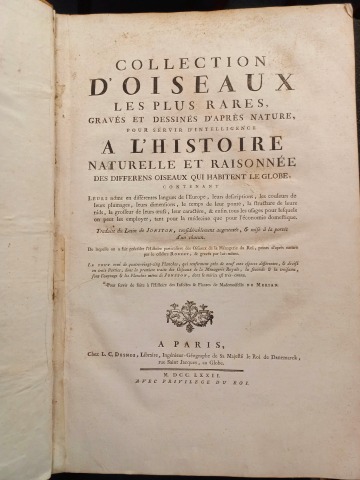 Collection d'oiseaux les plus rares